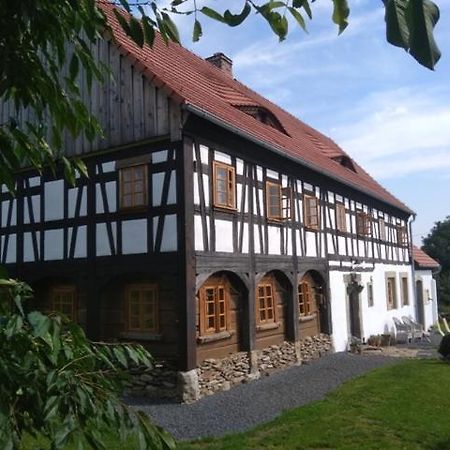 Izerski Dom Villa Leśna Buitenkant foto