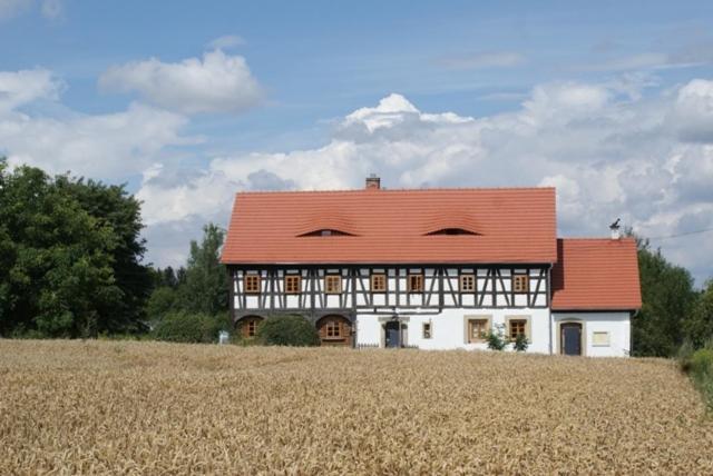 Izerski Dom Leśna Buitenkant foto