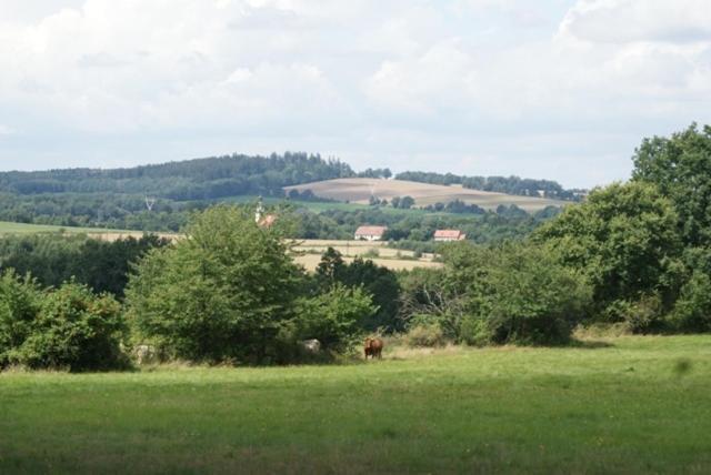 Izerski Dom Villa Leśna Buitenkant foto