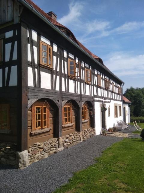Izerski Dom Leśna Buitenkant foto